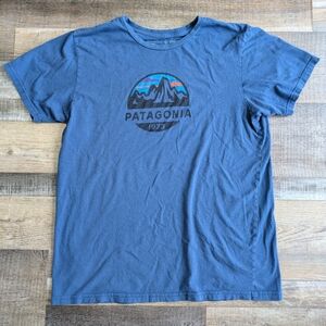 Patagonia Blue Shirt, Men's Large